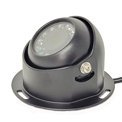 Black CCD Dome Camera
