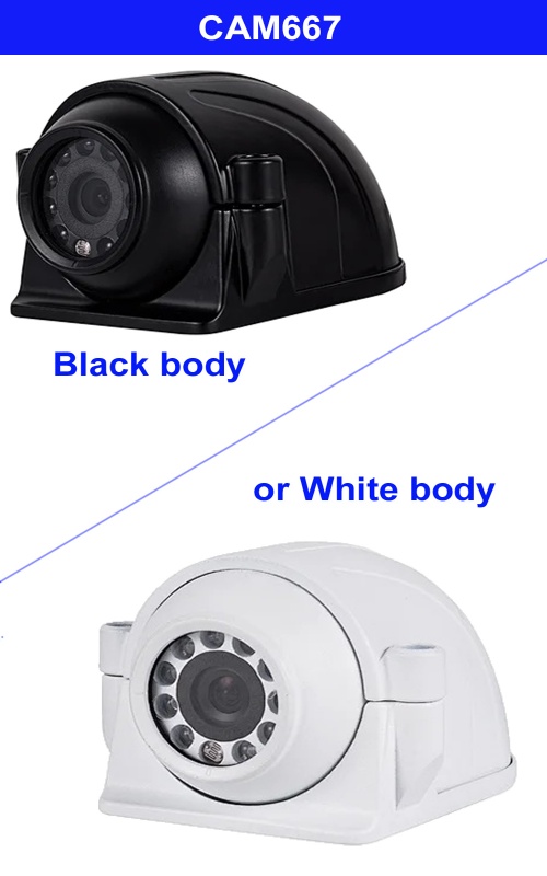 CCD side or reversing camera